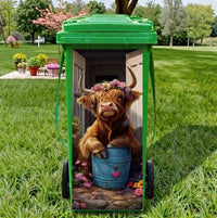 Highland cattle